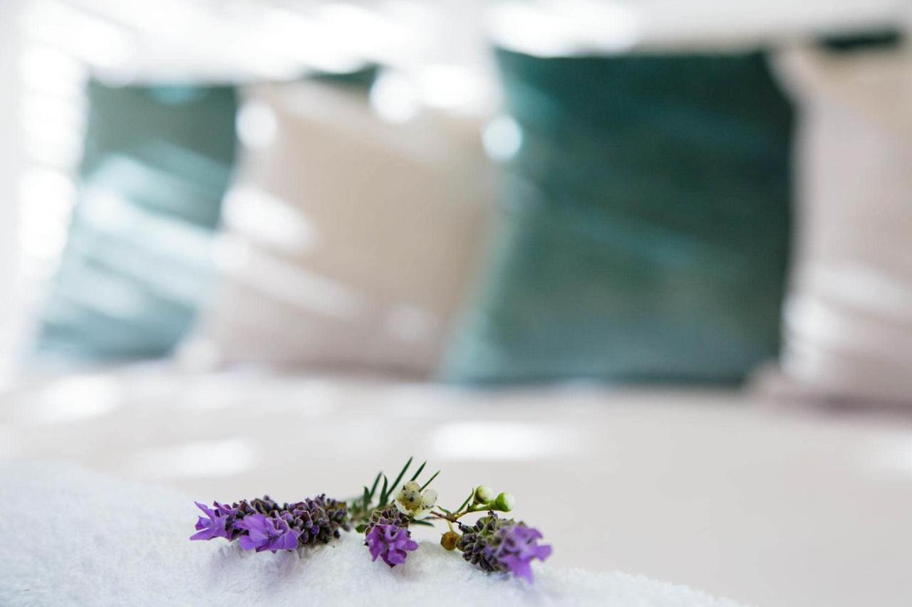 Blue Lily Retreat Bed & Breakfast Matjiesrivier  Dış mekan fotoğraf