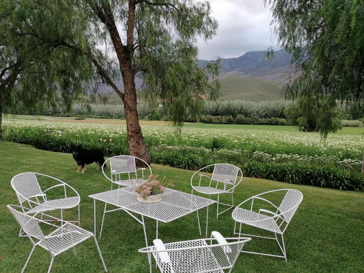 Blue Lily Retreat Bed & Breakfast Matjiesrivier  Dış mekan fotoğraf