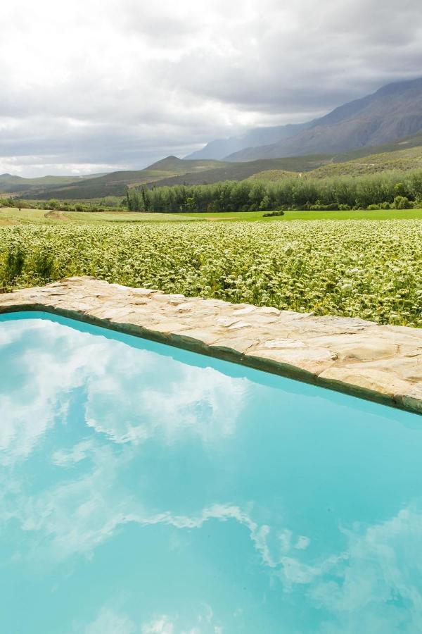 Blue Lily Retreat Bed & Breakfast Matjiesrivier  Dış mekan fotoğraf