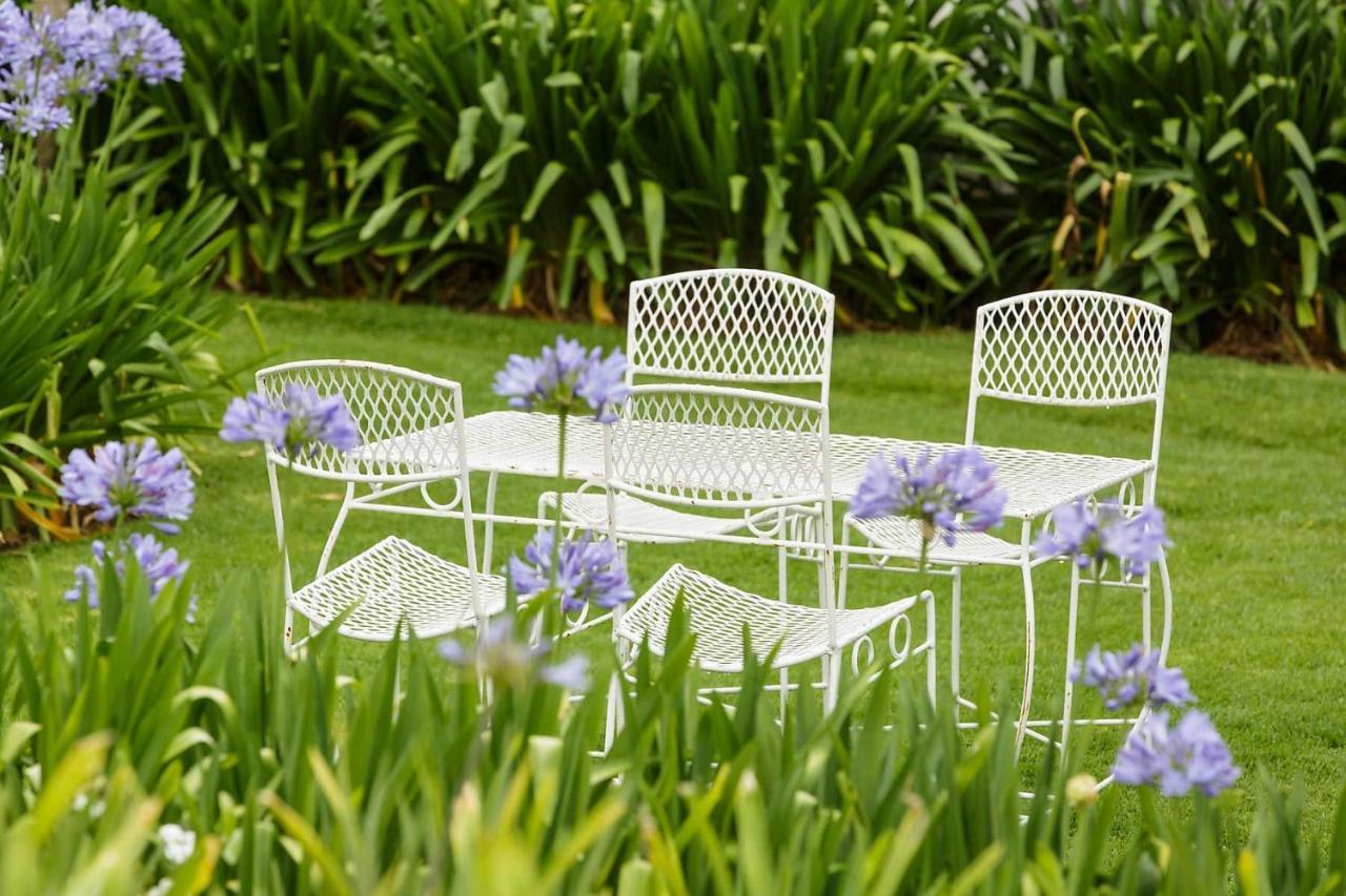 Blue Lily Retreat Bed & Breakfast Matjiesrivier  Dış mekan fotoğraf