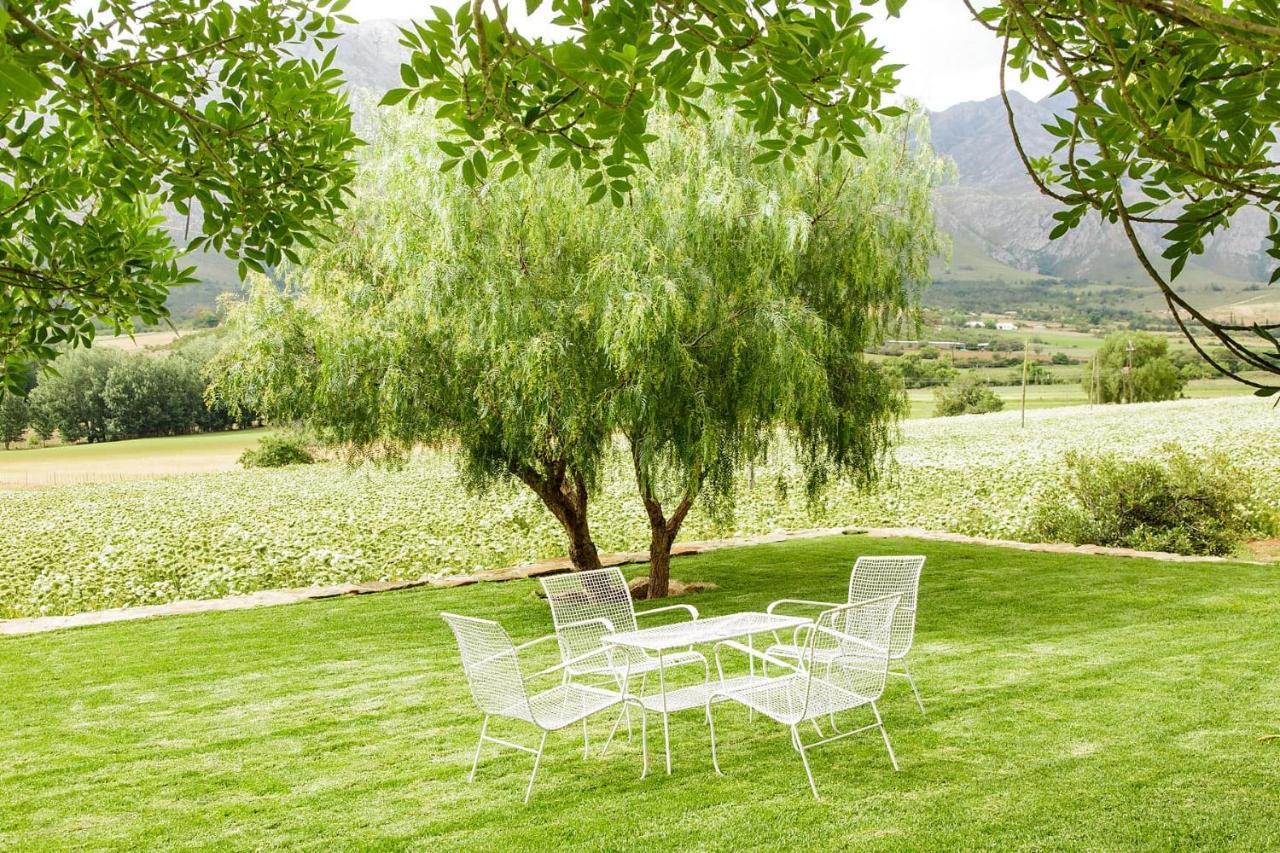 Blue Lily Retreat Bed & Breakfast Matjiesrivier  Dış mekan fotoğraf