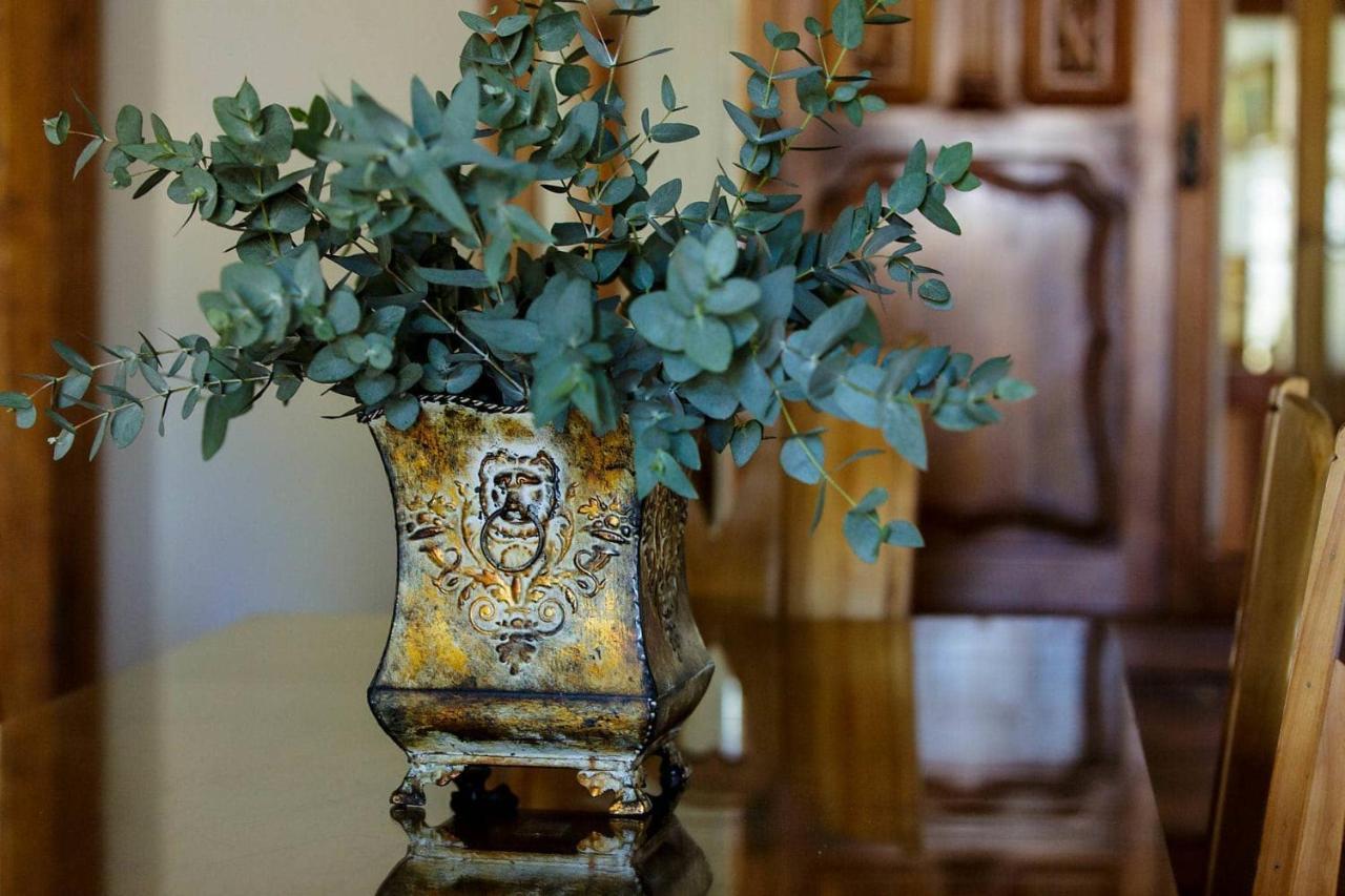 Blue Lily Retreat Bed & Breakfast Matjiesrivier  Dış mekan fotoğraf