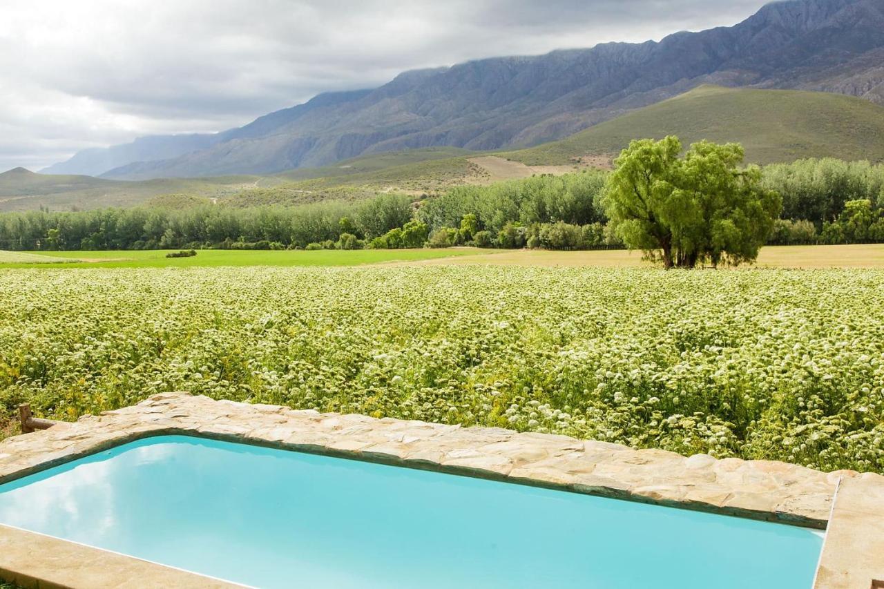 Blue Lily Retreat Bed & Breakfast Matjiesrivier  Dış mekan fotoğraf