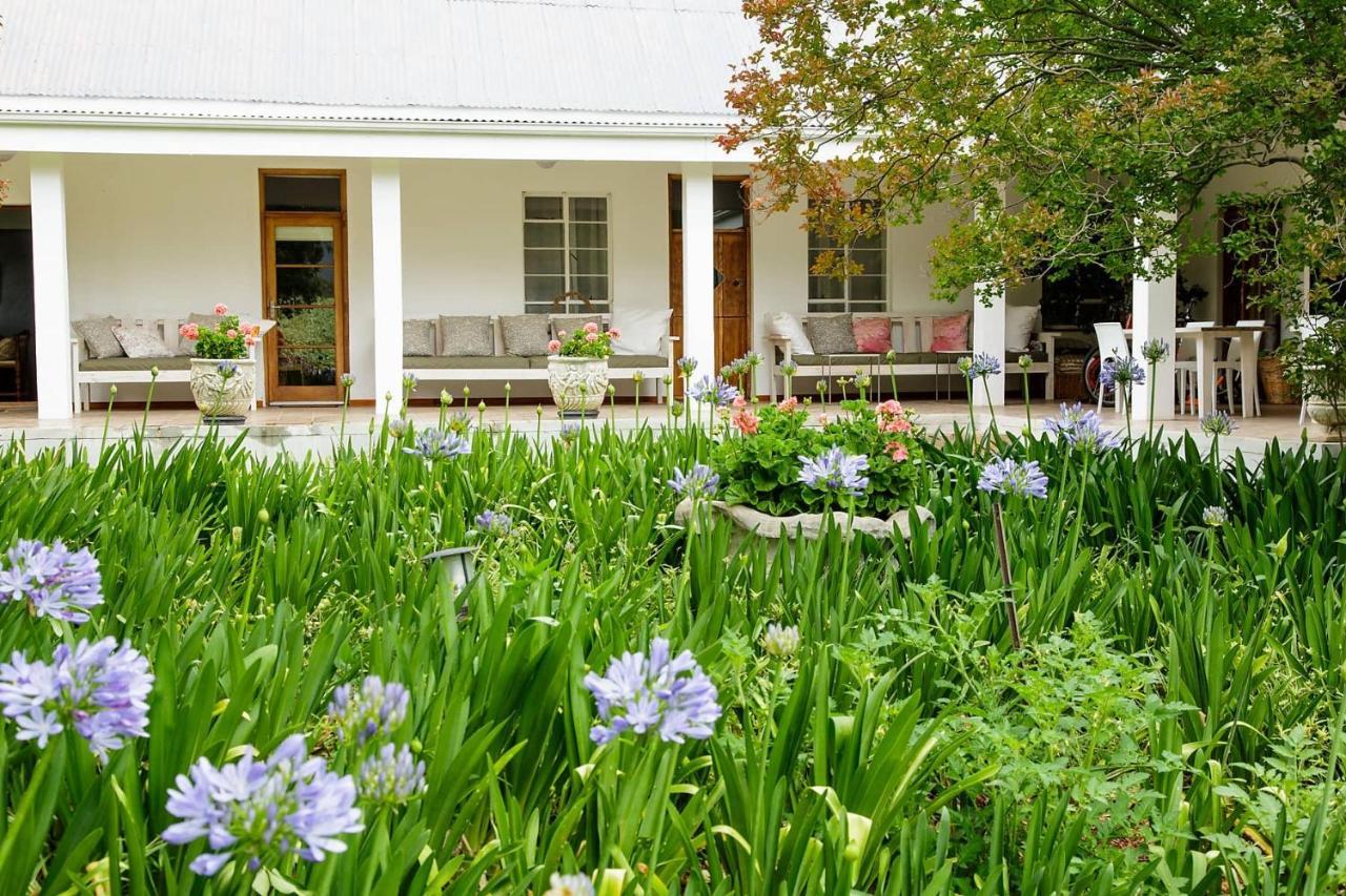 Blue Lily Retreat Bed & Breakfast Matjiesrivier  Dış mekan fotoğraf